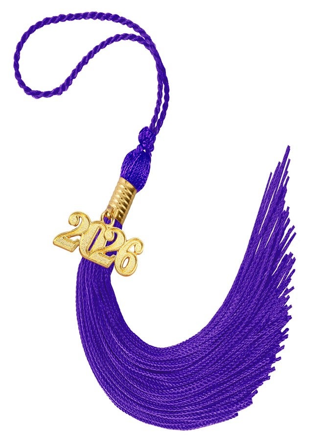 Nelisylux 2026 Tassel Graduation, Purple Graduation Tassel, Tassel Charms for Graduations Cap Decorations, Tassels Memorial Grad Cords for Class of 2026 College High School Graduate Hat Ceremonies Accessories - Image 1